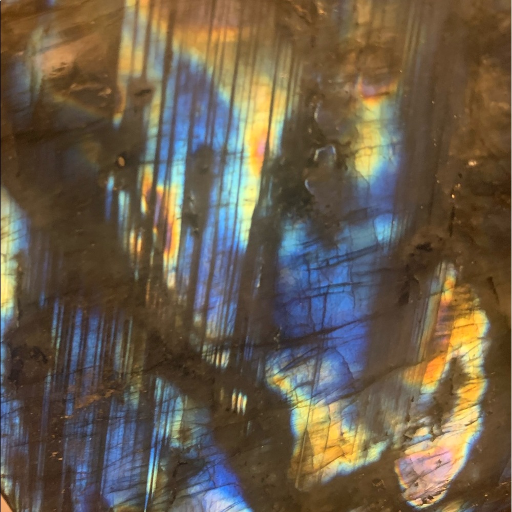 Meet your Posher, Renata